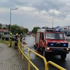 Fotka nr 5 z 10