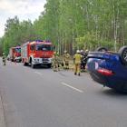 Fotka nr 2 z 4