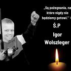 Fotka nr 1 z 2
