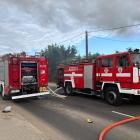 Fotka nr 3 z 17