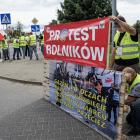 Fotka nr 1 z 16