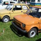 zdjęcie nr 11