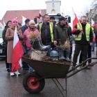 zdjęcie nr 30