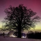 fot. Daniel Frymark