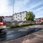Fotka nr 1 z 3
