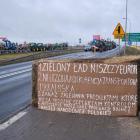 zdjęcie nr 23