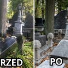 Fotka nr 4 z 6