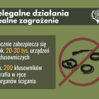 Fotka nr 5 z 6