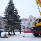 zdjęcie nr 42