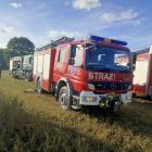Fotka nr 1 z 5