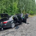 Fotka nr 5 z 7