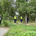 Fotka nr 3 z 13