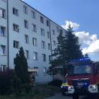 zdjęcie nr 14