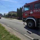 Fotka nr 1 z 2