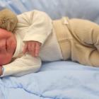 zdjęcie nr 2