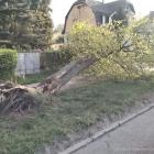 Fotka nr 2 z 6