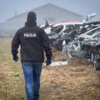 Fotka nr 4 z 12