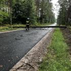 zdjęcie nr 10