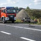 zdjęcie nr 7