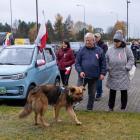 zdjęcie nr 15