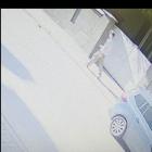 Fotka nr 2 z 3