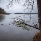 zdjęcie nr 30