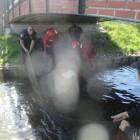Fotka nr 1 z 5