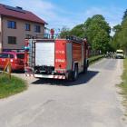 Fotka nr 1 z 4