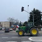 zdjęcie nr 12