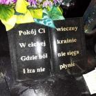 Fotka nr 0 z 1