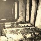 Jesienią 1945 roku odbyły
się prace ekshumacyjne
w Dolinie Śmierci. W ich
wyniku...