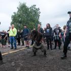 zdjęcie nr 163