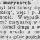 zdjęcie nr 11