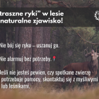 Fotka nr 4 z 5