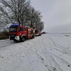 zdjęcie nr 10