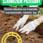 zdjęcie nr 110