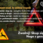Fotka nr 0 z 5