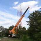 Fotka nr 4 z 12