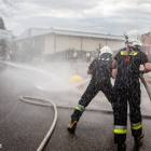 zdjęcie nr 48