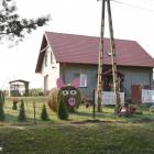 zdjęcie nr 13