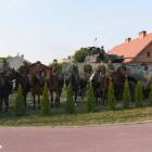 zdjęcie nr 7