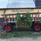 zdjęcie nr 12
