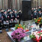 zdjęcie nr 16