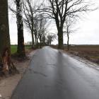 zdjęcie nr 11