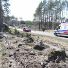 zdjęcie nr 8