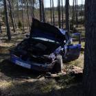 Fotka nr 1 z 8