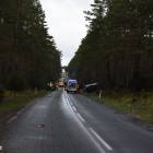 zdjęcie nr 7