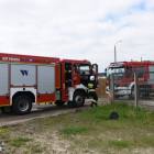 Fotka nr 5 z 7