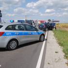 zdjęcie nr 7