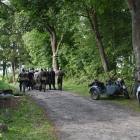 zdjęcie nr 17